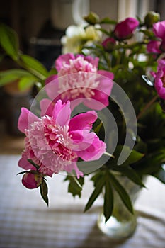 bouquet of pink peonies in a vase on the table