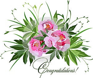 Bouquet of pink peonies on white, vector illustration