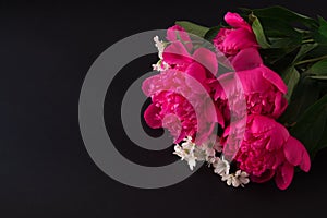 Bouquet of pink peony and small white flowers on dark background