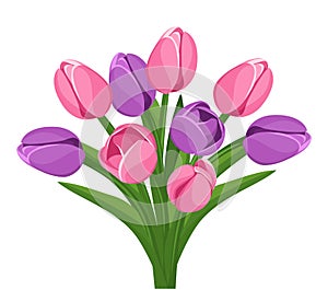 Bouquet of pink and purple tulips. Vector.