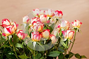 Bouquet of pink-red roses on a creamy background_