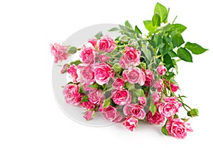 Bouquet pink rose with green leaf