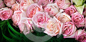 Bouquet of pink roses