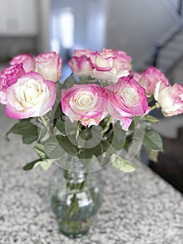 Bouquet of pink roses