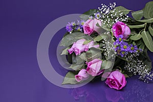 Bouquet of pink roses with baby`s breath with reflection and text space.