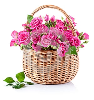 Bouquet of pink roses in basket