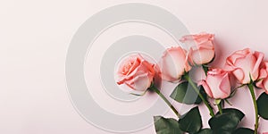 Bouquet of pink roses on empty background with copy space, flat lay. Greeting card for Mother's day, Valentines day
