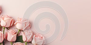 Bouquet of pink roses on empty background with Copy space for text, top view. Greeting card for Mother's day