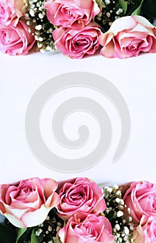 A bouquet of pink roses on a white background. A delicate festive floral arrangement.