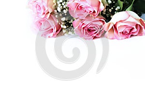 A bouquet of pink roses on a white background. A delicate festive floral arrangement.