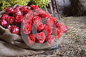 BOUQUET OF PINK ROSES WRAPPED IN A JUTE SACK, SURROUNDED BY STRAW