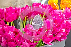 Bouquet of pink tulips at Bloemenmarkt Market, Amsterdam