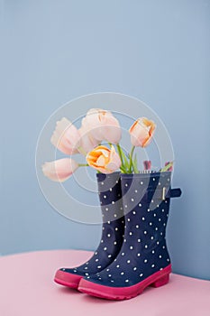 Bouquet of pink tulips in blue rubber boots