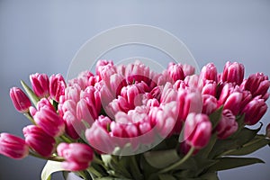 Bouquet of pink tulips