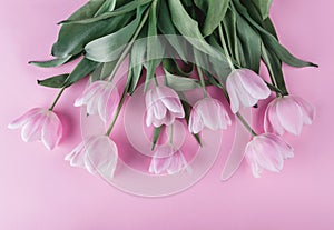 Bouquet of pink tulips flowers over light pink background. photo