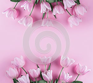 Bouquet of pink tulips flowers on pink background. Waiting for spring. Card for Mothers day, 8 March, Happy Easter. Greeting card