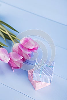 Bouquet of pink tulips with gift box on blue wooden background