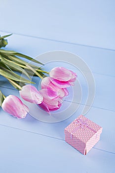 Bouquet of pink tulips with gift box on blue wooden background