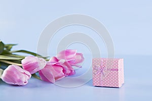 Bouquet of pink tulips with gift box on blue wooden background