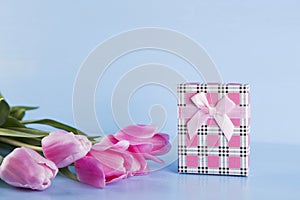 Bouquet of pink tulips with gift box on blue wooden background