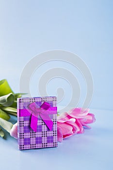 Bouquet of pink tulips with gift box on blue wooden background