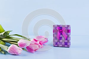 Bouquet of pink tulips with gift box on blue wooden background