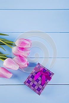 Bouquet of pink tulips with gift box on blue wooden background
