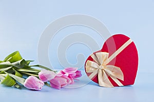 Bouquet of pink tulips with gift box on blue wooden background