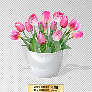 Bouquet of pink tulips in vase isolated on white background
