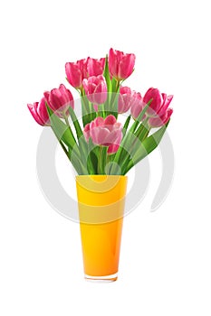 Bouquet of pink tulips in vase isolated on white