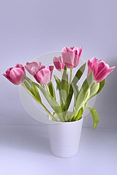 Bouquet pink tulips in white vase stands on table stock photo