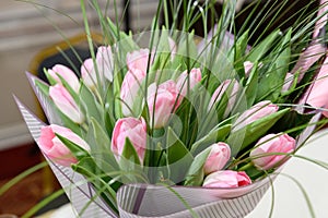 Bouquet of pink tulips wrappen in pink paper