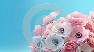 Bouquet of pink and white anemones on blue background