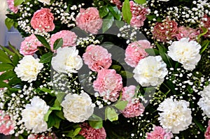 Bouquet of pink and white carnation flowers, white tiny flowers and green leaves of areca palm etc. Fresh flowers