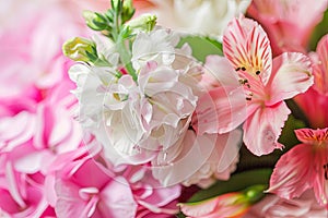 A Bouquet of Pink and White Flowers