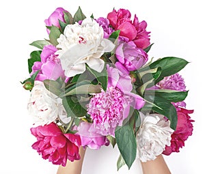 Bouquet of pink and white peony flowers in woman`s hand isolated on white background. Flat lay.