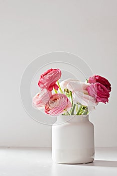 Bouquet of pink and white ranunculus flowers. Bithday, mothers day, saint valentine