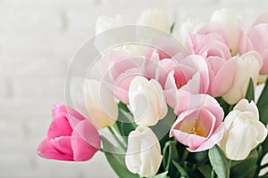 Bouquet of pink and white tulips in vase