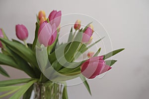 bouquet of pink and yellow tulips in vase closeup across white all on the wooden drawer. Interior detail. Hotel interior