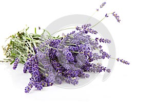 Bouquet of plucket lavender