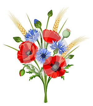 Bouquet of poppy flowers and cornflowers. Vector illustration.