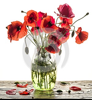 Bouquet of poppy flowers in the vase on the wood.