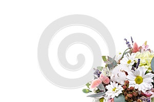 Bouquet in a pot of chrysanthemums on a white background