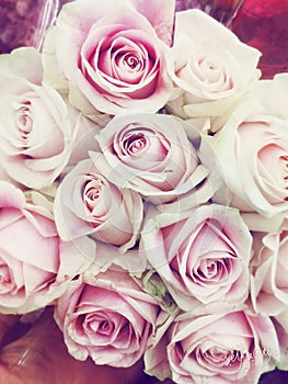 Bouquet of pretty soft white and pink roses