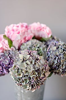 Bouquet of purple and green flower. Beautiful hydrangea flowers in a vase on a table. Decoration of home. Wallpaper and