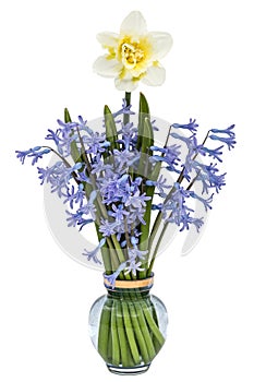 Bouquet of purple hyacinths and narcissus in a vase, isolated on