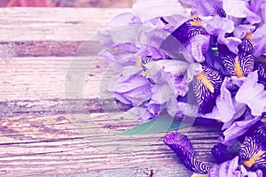 Bouquet of purple irises on a wooden background blurred. Toned