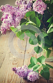 Bouquet of Purple Lilac. Selective focus.