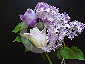 Bouquet of purple lilacs and tulips on a dark background