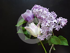 Bouquet of purple lilacs and tulips on a dark background